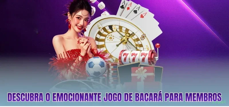 Cassino ao vivo ivybet